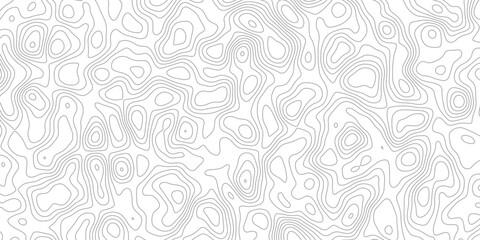 Intricate Vector Illustration of a Topographic Map Featuring Detailed Topography and Precise Topological Structures, Ideal for Geospatial Analysis, Modern Cartography, and Digital Art Projects
