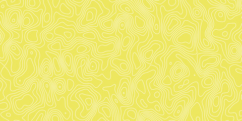 Intricate Vector Illustration of a Topographic Map Featuring Detailed Topography and Precise Topological Structures, Ideal for Geospatial Analysis, Modern Cartography, and Digital Art Projects