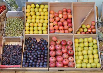 Variety of fruits on display for sale in the market