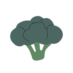 Healthy food illustration Vector