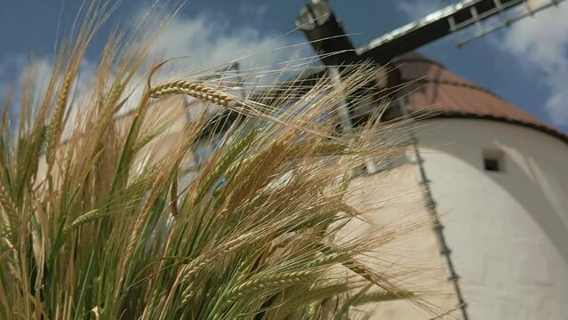 MOLINO DE VIENTO EN MOVIMIENTO MOLIENDA