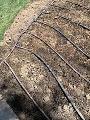 Fototapeta premium Rubber drip lines