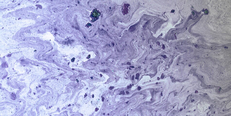 Transcendent Inks: A Mesmerizing Dive into the World of Liquid Art