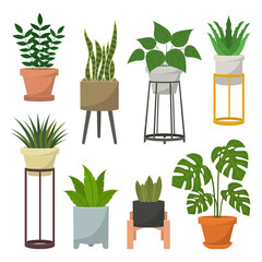 Vector set of home plants in pots on a stand. Isolated template of plants on white background in flat style. Home indoor green decor.