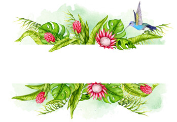 Horizontal banner of tropical leaves, protea flowers and hummingbirds. Watercolor botanical illustration. Flower composition. Design for invitations, posters, cards, greeting cards, stationery, etc.  © Alyona Pugachova