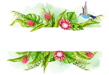 Horizontal banner of tropical leaves, protea flowers and hummingbirds. Watercolor botanical illustration. Flower composition. Design for invitations, posters, cards, greeting cards, stationery, etc.
