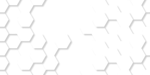 Vector pattern with hexagonal white and gray technology line paper background. Hexagonal 3d grid tile and mosaic structure mess cell. white and gray hexagon honeycomb geometric copy space.