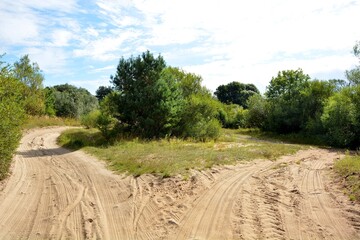 A meadow with a sand road that is used by cross motorcyclists