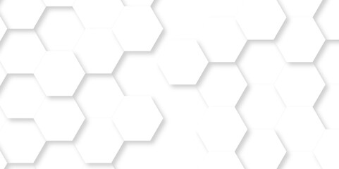 Abstract Vector pattern with hexagonal white and gray technology line paper background. Hexagonal 3d grid tile and mosaic structure mess cell. white and gray hexagon honeycomb geometric copy space.