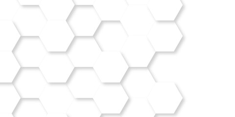 Abstract Vector pattern with hexagonal white and gray technology line paper background. Hexagonal 3d grid tile and mosaic structure mess cell. white and gray hexagon honeycomb geometric copy space.
