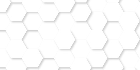Abstract Vector pattern with hexagonal white and gray technology line paper background. Hexagonal 3d grid tile and mosaic structure mess cell. white and gray hexagon honeycomb geometric copy space.