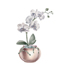 A branch of tropical white orchid flower with buds, leaves, bare roots in a round glossy vase.Watercolor illustration for greeting card,wedding,stationery,stickers,postcards