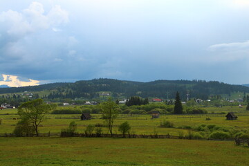 Fototapeta premium A grassy field with trees and houses in the background