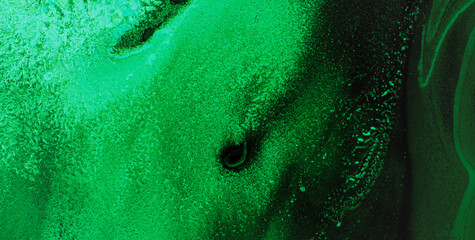 Luminous Flow: Exploring the Magic of Liquid Art in Oil Paint