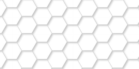 	
Abstract Vector pattern with hexagonal white and gray technology line paper background. Hexagonal 3d grid tile and mosaic structure mess cell. white and gray hexagon honeycomb geometric copy space.
