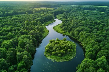 Featuring a aerial view of a green forest with a river above it