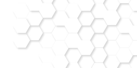 	
Abstract Vector pattern with hexagonal white and gray technology line paper background. Hexagonal 3d grid tile and mosaic structure mess cell. white and gray hexagon honeycomb geometric copy space.