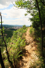 Picturesque view over the city of Veliko Tarnovo from the hiking trail along the Garga Bair Hill, Veliko Tarnovo, Bulgaria