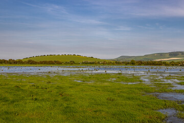 A flooded field in rural Sussex on a sunny spring day