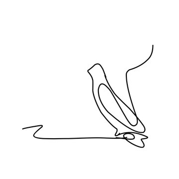 recommend clip art: Line art fish and bird