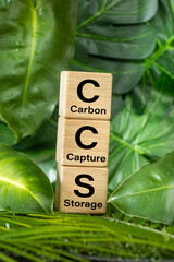 Carbon Capture and Storage CCS . Reducing carbon emissions, commitment to limit climate change and global warming. Net zero action, environmental concept. reduce carbon footprint. stop carbon dioxide