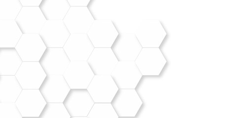 Naklejka premium Abstract Vector pattern with hexagonal white and gray technology line paper background. Hexagonal 3d grid tile and mosaic structure mess cell. white and gray hexagon honeycomb geometric copy space.