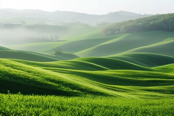 Rolling hills and meadows - Photographing idyllic scenes of open fields and gentle slopes