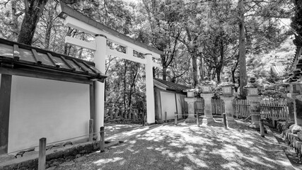 Second Torii Gate in Kasuga Sanctuary Park