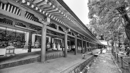 Kasuga Sanctuary and Temple in spring season, Japan