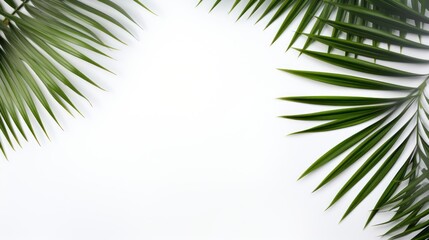 Obraz premium Tropical palm leaves on white background. Flat lay, top view