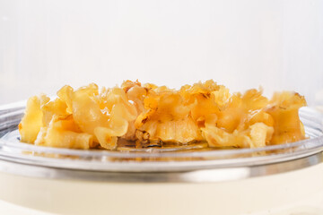 Fish maw on white background