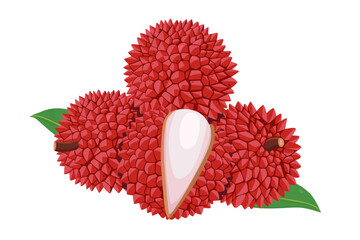 Lychee fruit vector Cartoon  isolated on white background