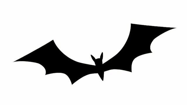 Flying bat shadow on green screen: 4K loop viewer displaying a flying bat.