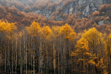 Abstract background of trees with golden leaves growing in woods in fall season in ordesa national park in spain - Generative ai
