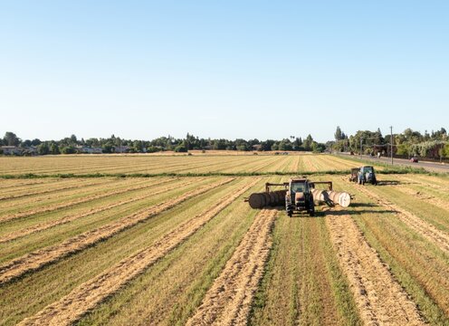tractor in field of hay