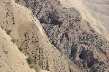 Conquering the Arid Heights