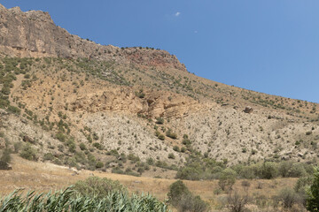 Majestic Mountain Majesty: A Verdant Landscape