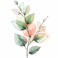 Watercolor plant with leaves on white background
