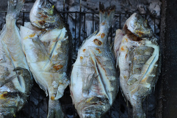Cooking fish outdoor. Baking and roasting fish on barbecue grill. Fish grilled over charcoal. Summer time and healthy food concept idea. Top view.