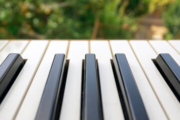Close-up of piano keys in front of blurred green trees