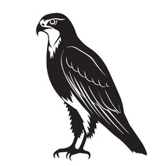 Obraz premium Falcon in cartoon, doodle style. Image for t-shirt, web, mobile apps and ui. Isolated 2d vector illustration in logo, icon, sketch style, Eps 10. AI Generative