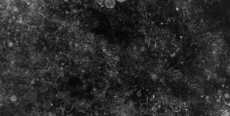 Fluid Beauty: Unveiling the Mysterious Allure of Liquid Art in Oil
