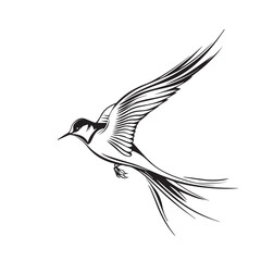 Fototapeta premium Swallow in cartoon, doodle style. Image for t-shirt, web, mobile apps and ui. Isolated 2d vector illustration in logo, icon, sketch style, Eps 10. AI Generative
