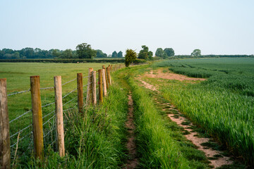 Leading lines along a wooden fence in the British countryside. Public footpath with agriculture fields, crops and farmland. Beautiful English landscape on warm sunny day in spring summer.