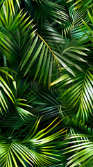 Palm leaves background