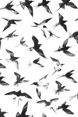 A flock of birds flying through the air. Suitable for nature and freedom concepts