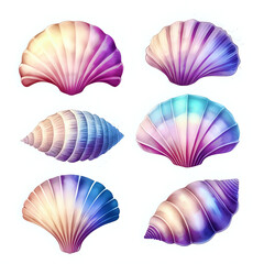 set of seashells