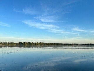 Fototapeta premium Blue Sky Trees Landscape