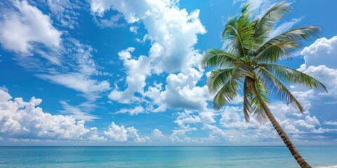 Palm tree on tropical beach with blue sky and white clouds abstract background, Copy space of summer vacation and travel concept