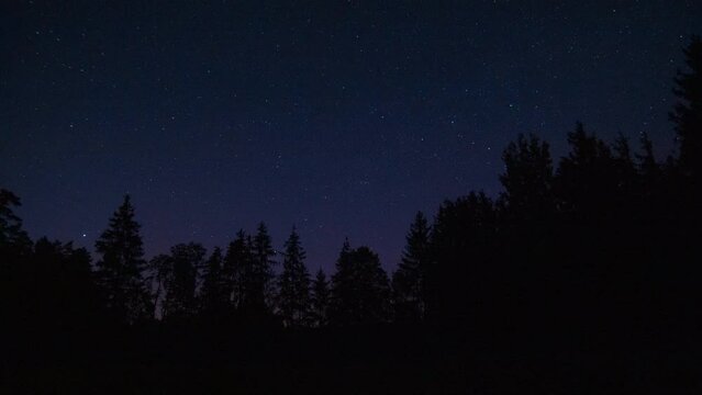 Night sky over forest. 4k time lapse with stars.